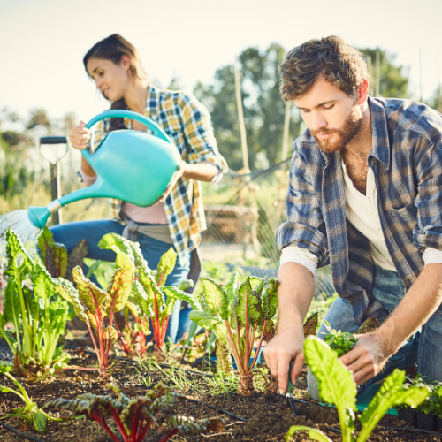 case-study-retail-farming (2) Farm Supply Retailer Migrates Telecom Services to Single Provider