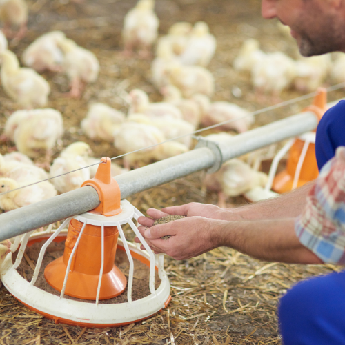 case-study-retail-farming Farm Supply Retailer Migrates Telecom Services to Single Provider