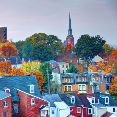case-study-government (3) County Government Saves with Telecom Expense Management Solution