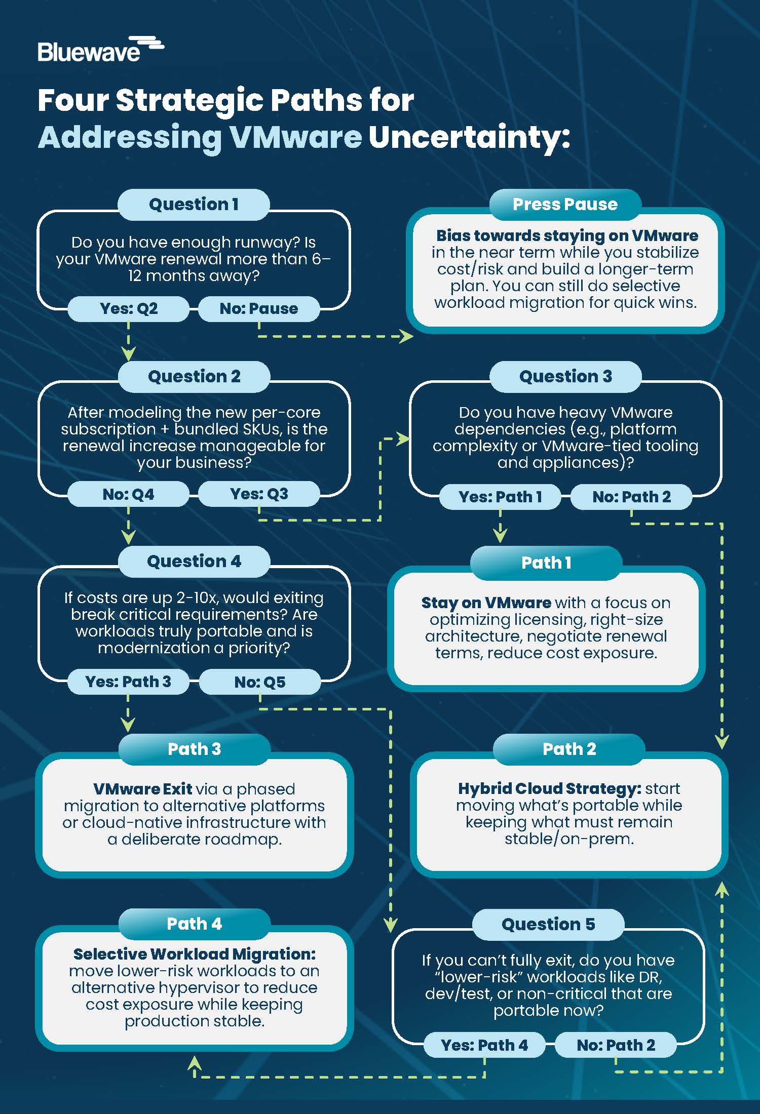 Four VMware Strategic Paths